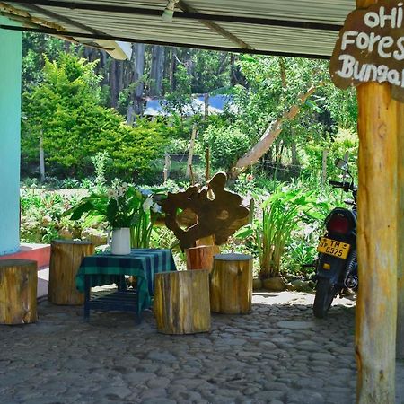 Ohiya Forest Lodge Exterior foto